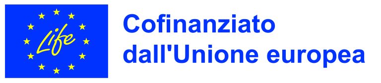 IT V Cofinanziato dall'Unione europea